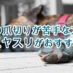 犬の爪切りが苦手な方は、爪ヤスリがオススメです!
