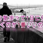 犬の散歩って1日に何回行くのが1番いいの?【犬の散歩の適正回数について】