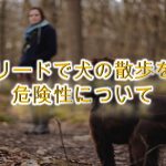 ノーリードで犬の散歩をする危険性について