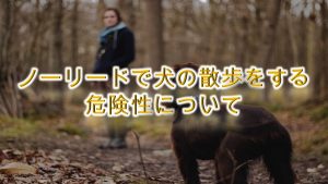 ノーリードで犬の散歩をする危険性について