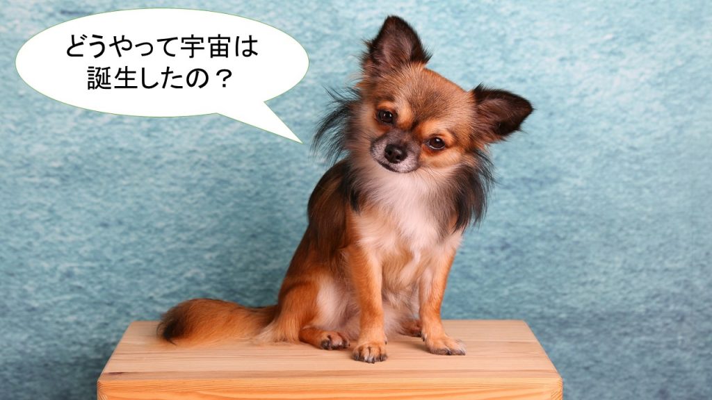 ロングコートチワワ