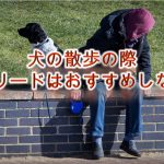 犬の散歩の際、伸縮リードはおすすめしない?【メリットとデメリットについて】