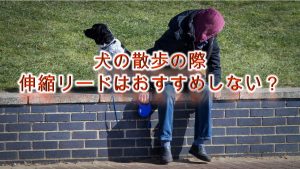 犬の散歩の際、伸縮リードはおすすめしない?【メリットとデメリットについて】