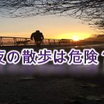 犬の夜の散歩は危険?【犬の夜散歩の注意点やその対策について】