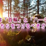 犬の散歩の際、「首輪」か「ハーネス」、どちらをつけるべきか?【それぞれのメリットとデメリット】