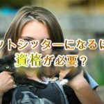ペットシッターになるには資格が必要?