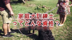 家庭犬訓練士ってどんな資格？