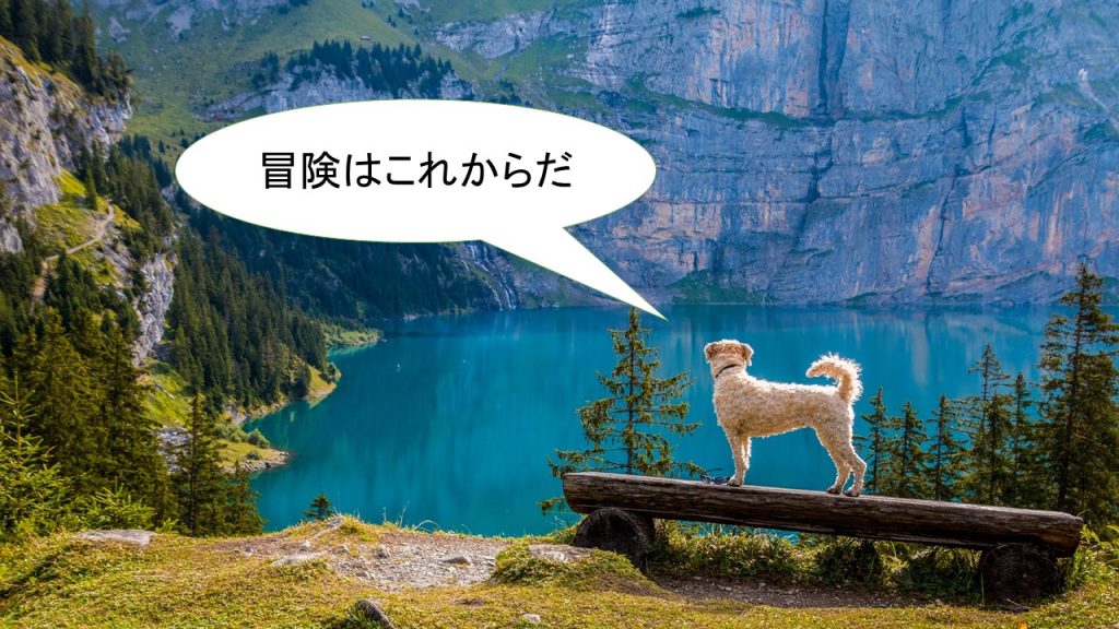 チワズー