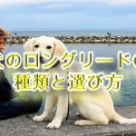 犬のロングリードの種類と選び方!【そもそも長いリードはおすすめできない?】