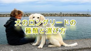 犬のロングリードの種類と選び方!【そもそも長いリードはおすすめできない?】