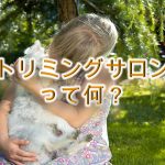 トリミングサロンって何?料金の相場はどのくらい?