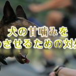 犬の甘噛みを止めさせる方法【犬の甘噛みの適切なしつけ方や対処法】