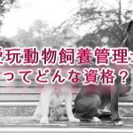 愛玩動物飼養管理士ってどんな資格?