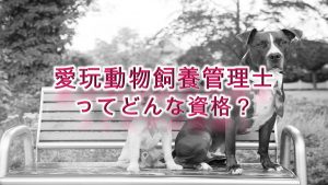 愛玩動物飼養管理士ってどんな資格?