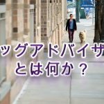 ドッグアドバイザーとは何か?【資格の内容やスクールについて】