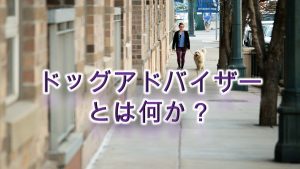 ドッグアドバイザーとは何か?【資格の内容やスクールについて】