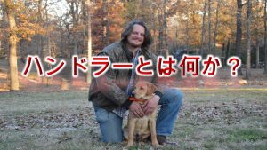 ハンドラーとは何か【犬の資格?ショーハンドラーについても解説】