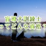 盲導犬訓練士ってどんな資格?【仕事内容や給料も紹介】
