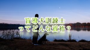 盲導犬訓練士ってどんな資格?【仕事内容や給料も紹介】