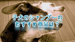 子犬のシャンプーのおすすめ商品は？【ランキングが高いAmazon商品を紹介】