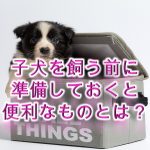子犬を飼う前に準備しておくと便利なものとは?【子犬のための犬用グッズ】
