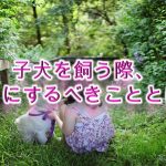 子犬を飼う際、初日にするべきこととは?