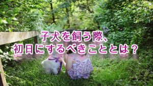 子犬を飼う際、初日にするべきこととは？