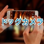 ドッグカメラって何?【活用方法やメリットをわかりやすく解説】