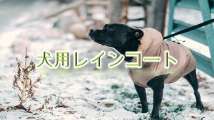 犬用レインコートとは?【小型犬におすすめのAmazonの人気商品も紹介】