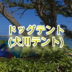 ドッグテント(犬用テント)とは?【選び方や小型犬におすすめのAmazon商品も紹介】