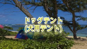 ドッグテント(犬用テント)とは?【選び方や小型犬におすすめのAmazon商品も紹介】