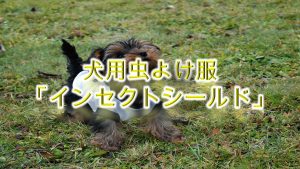犬用虫よけ服「インセクトシールド」とは?
