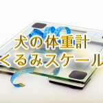 犬の体重計「くるみスケール」とは?【犬用のIOT商品】