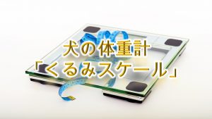 犬の体重計「くるみスケール」とは?【犬用のIOT商品】