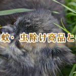 犬用蚊・虫除け商品とは?どんな種類がある?【Amazonで人気の商品も紹介】