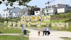 犬の散歩代行「ドッグウォーカー」とは何か?