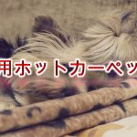 子犬も喜ぶ!「犬用ホットカーペット」とは?【使用する際の注意点なども紹介】