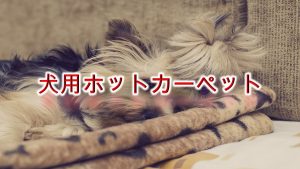子犬も喜ぶ!「犬用ホットカーペット」とは?【使用する際の注意点なども紹介】