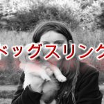 ドッグスリング(犬用抱っこ紐)とは何か?【その意味や活用法だけでなく小型犬用の商品で人気なものも紹介】