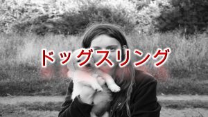 ドッグスリング(犬用抱っこ紐)とは何か?【その意味や活用法だけでなく小型犬用の商品で人気なものも紹介】
