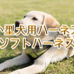 小型犬用ハーネス「ソフトハーネス」とは?【子犬におすすめのAmazonの人気商品も紹介】