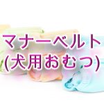 犬のマナーベルト(犬用おむつ)とは?【活用法やメリット、使用する時の注意点なども紹介】
