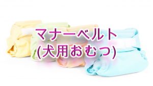 犬のマナーベルト(犬用おむつ)とは?【活用法やメリット、使用する時の注意点なども紹介】