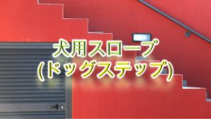 犬用スロープ(ドッグステップ)とは?使い方や選び方も紹介【子犬が室内で快適に動けるように。】