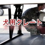 犬用クレートとは?【小型犬におすすめのAmazonの人気商品も紹介】