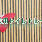 犬用トイレトレーとは何か?【その意味や活用法だけでなく小型犬用の商品で人気なものも紹介】