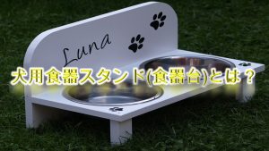 犬用食器スタンド(食器台)とは?【失敗しない選び方や子犬におすすめのAmazon人気商品も紹介】