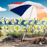 ペットアンブレラ(犬用傘)とは何か【必要?散歩に役立つ??】
