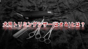 犬用トリミングシザー(はさみ)とは?【はさみの種類や子犬におすすめのAmazon人気商品も紹介】