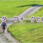 リーダーウォークとは?【その意味や必要性について】